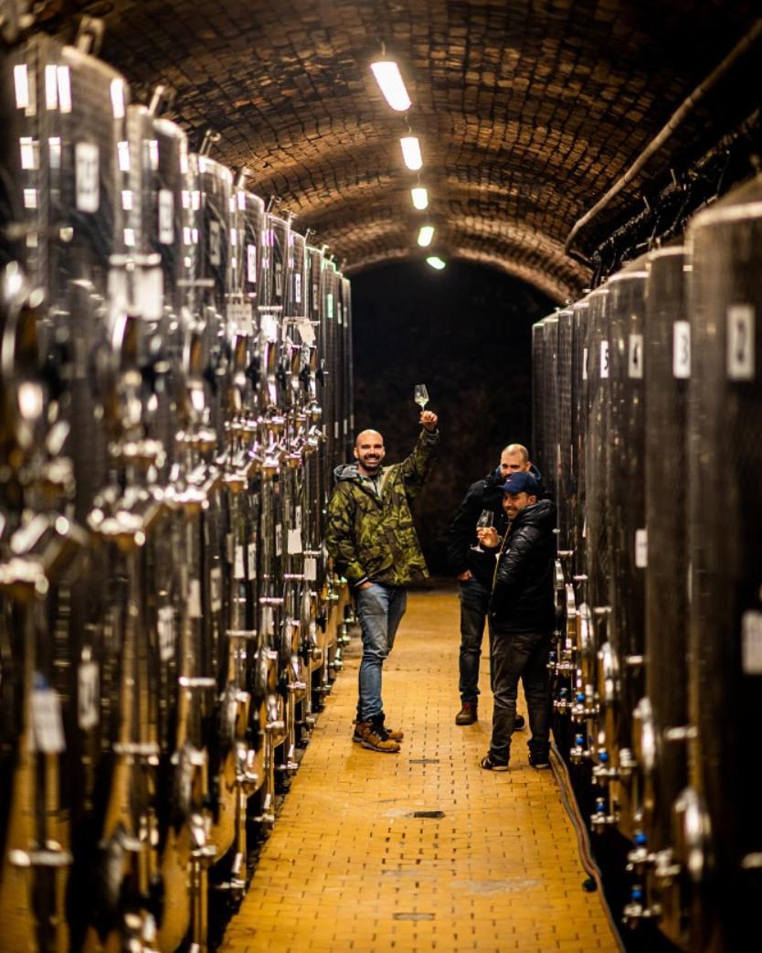 Ubytovani Ve Vinarstvi Zd Nemcicky Dış mekan fotoğraf